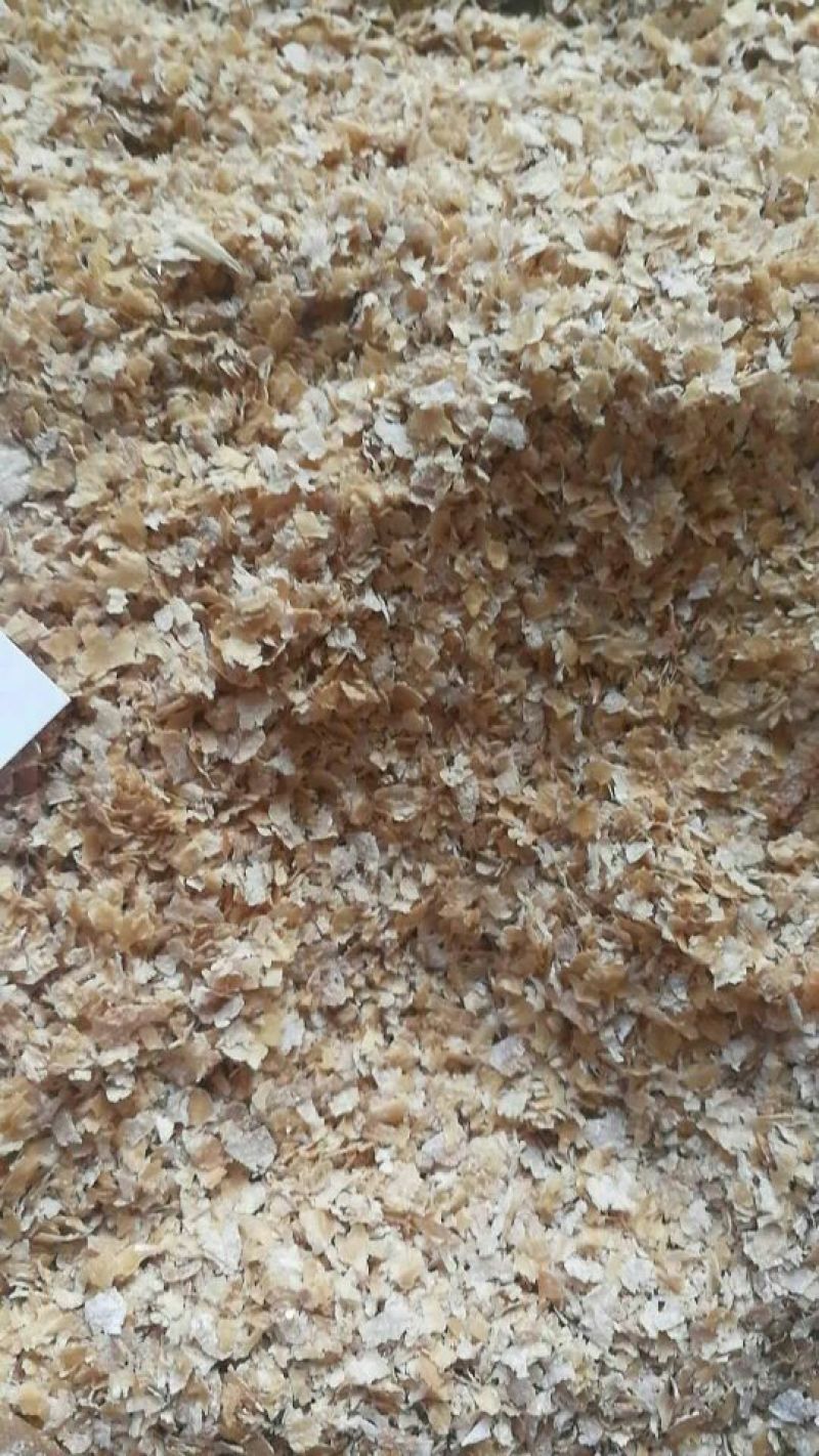 麦麸饲料