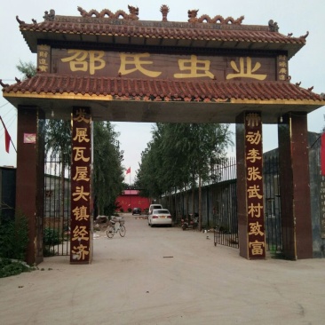 黄粉虫饲料