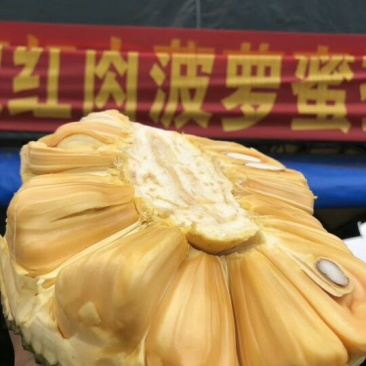 菠萝蜜8-10斤可一件代发