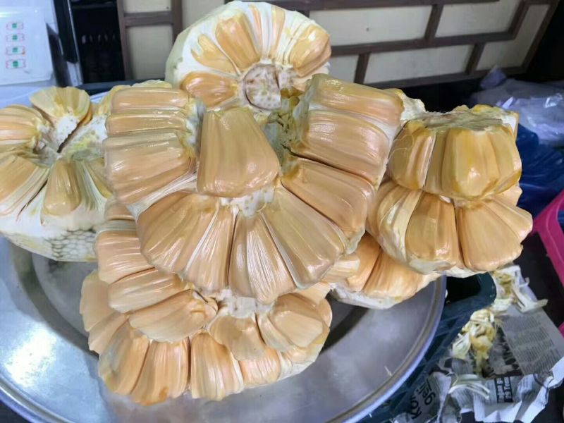 菠萝蜜8-10斤可一件代发
