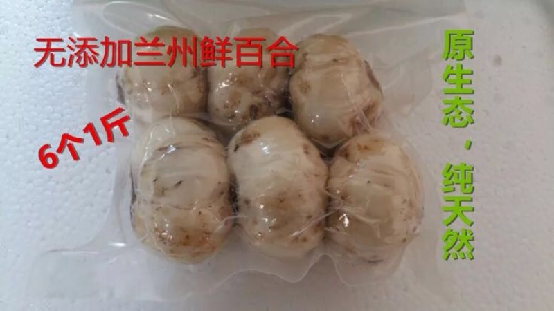 兰州百合四头食用