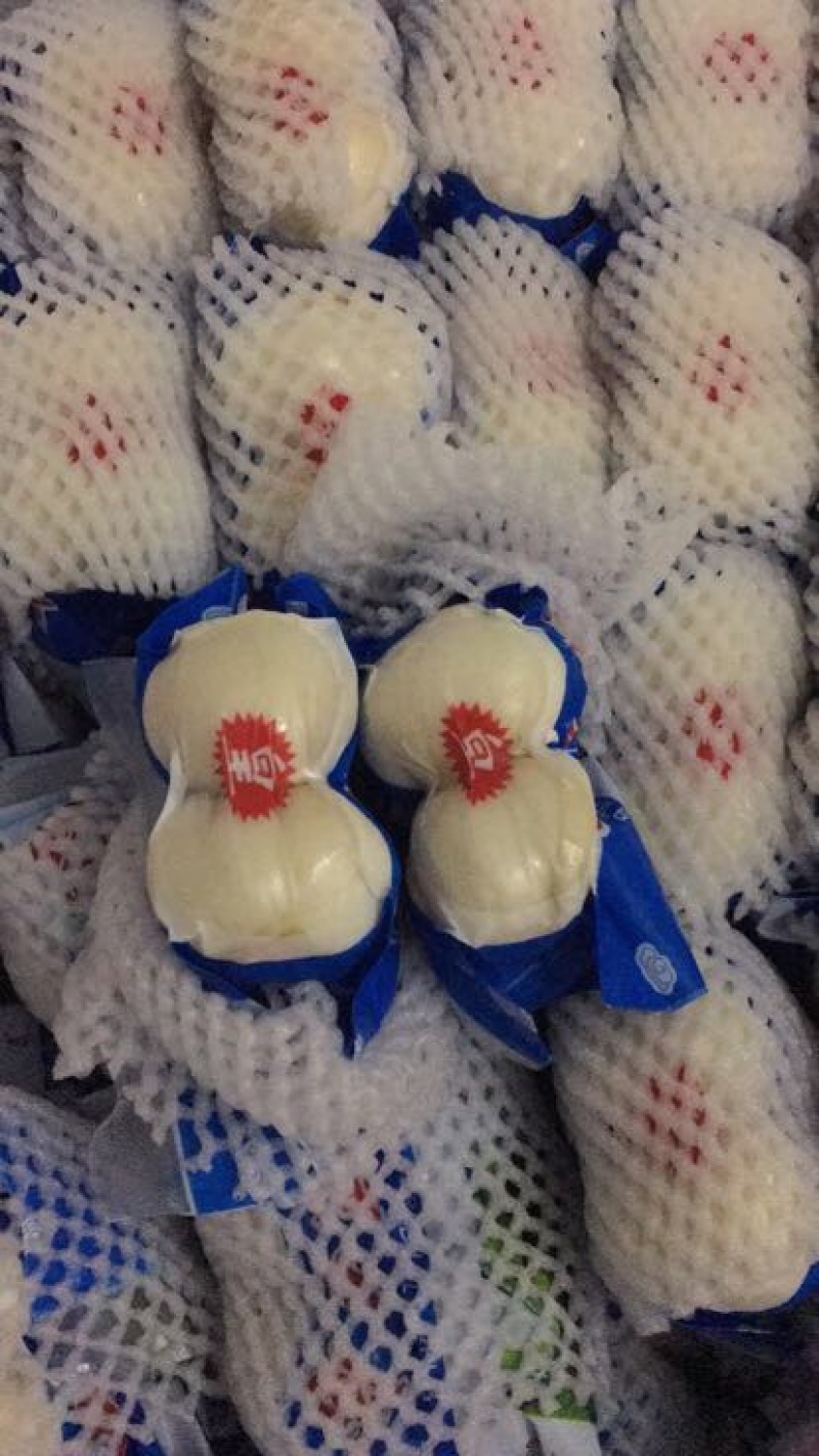 兰州百合四头食用