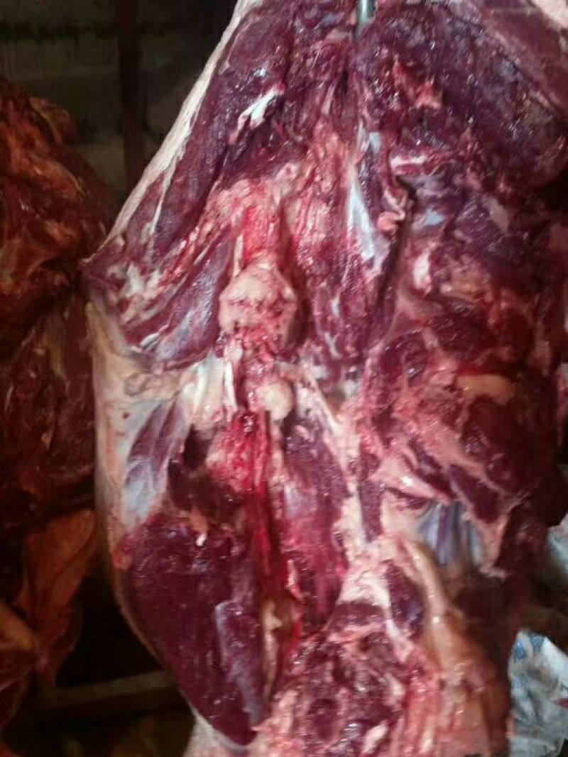 山东鲜驴肉质量保证，肉质鲜美，全国供应欢迎采购