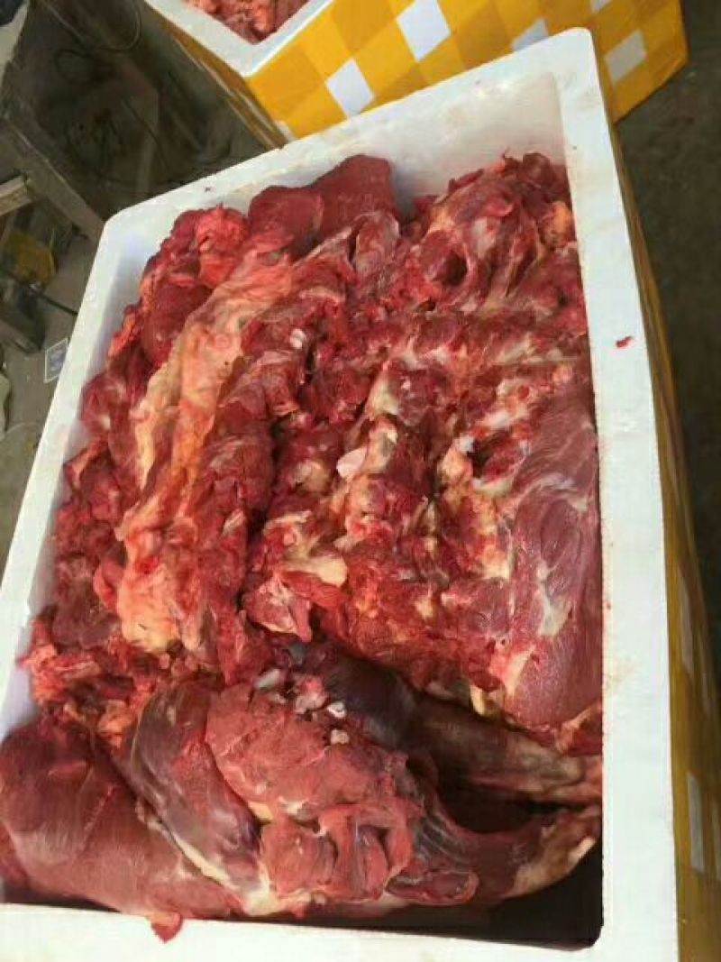 山东鲜驴肉质量保证，肉质鲜美，全国供应欢迎采购