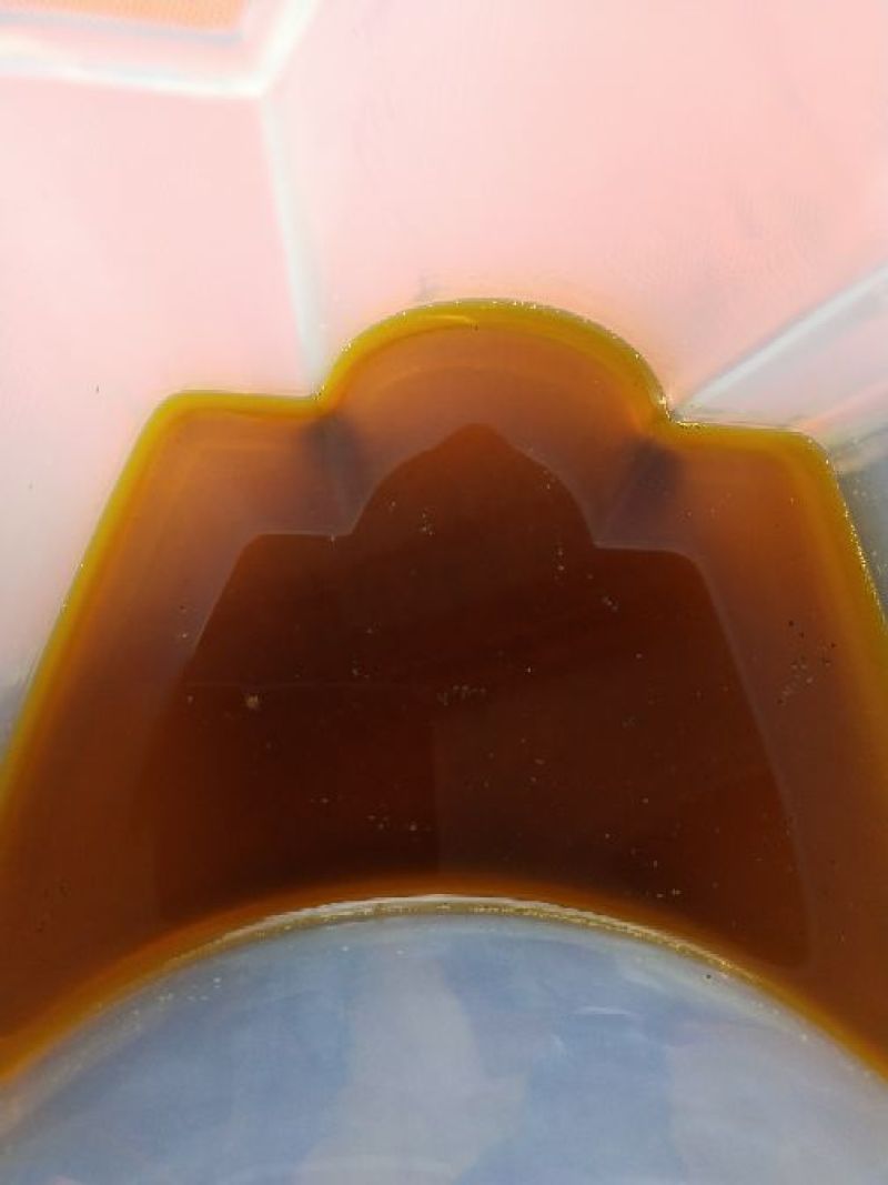 油菜籽2级
