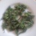 构棒穗构不素构棒穗