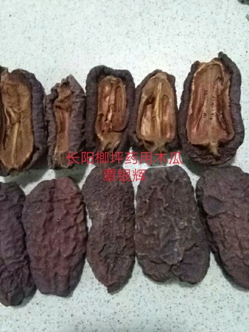 长阳木瓜苗皱皮无籽木瓜苗资丘木瓜苗药用木瓜