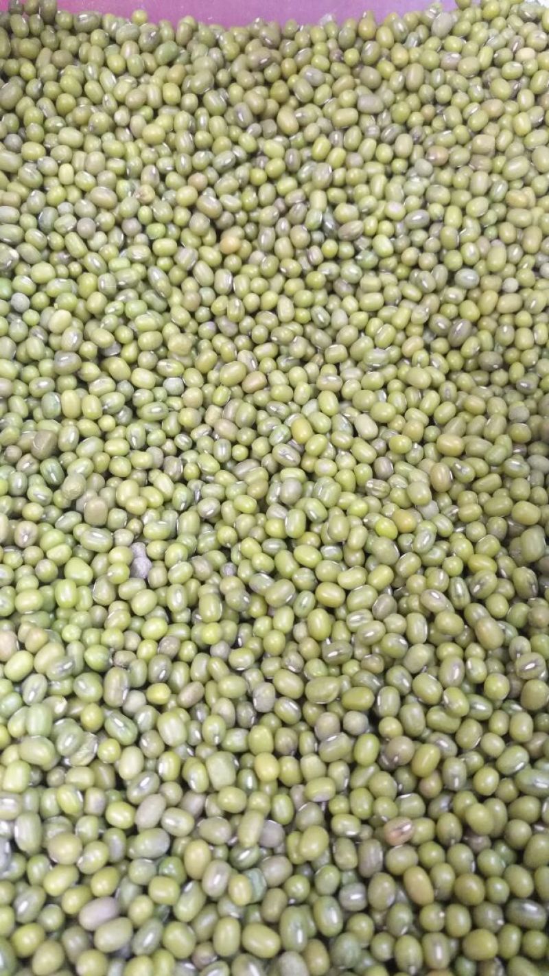 绿豆散装