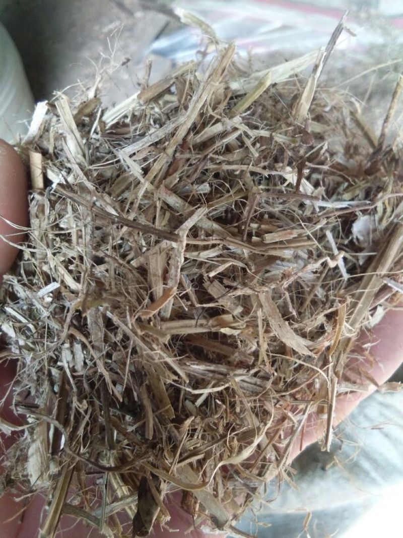 羊草干