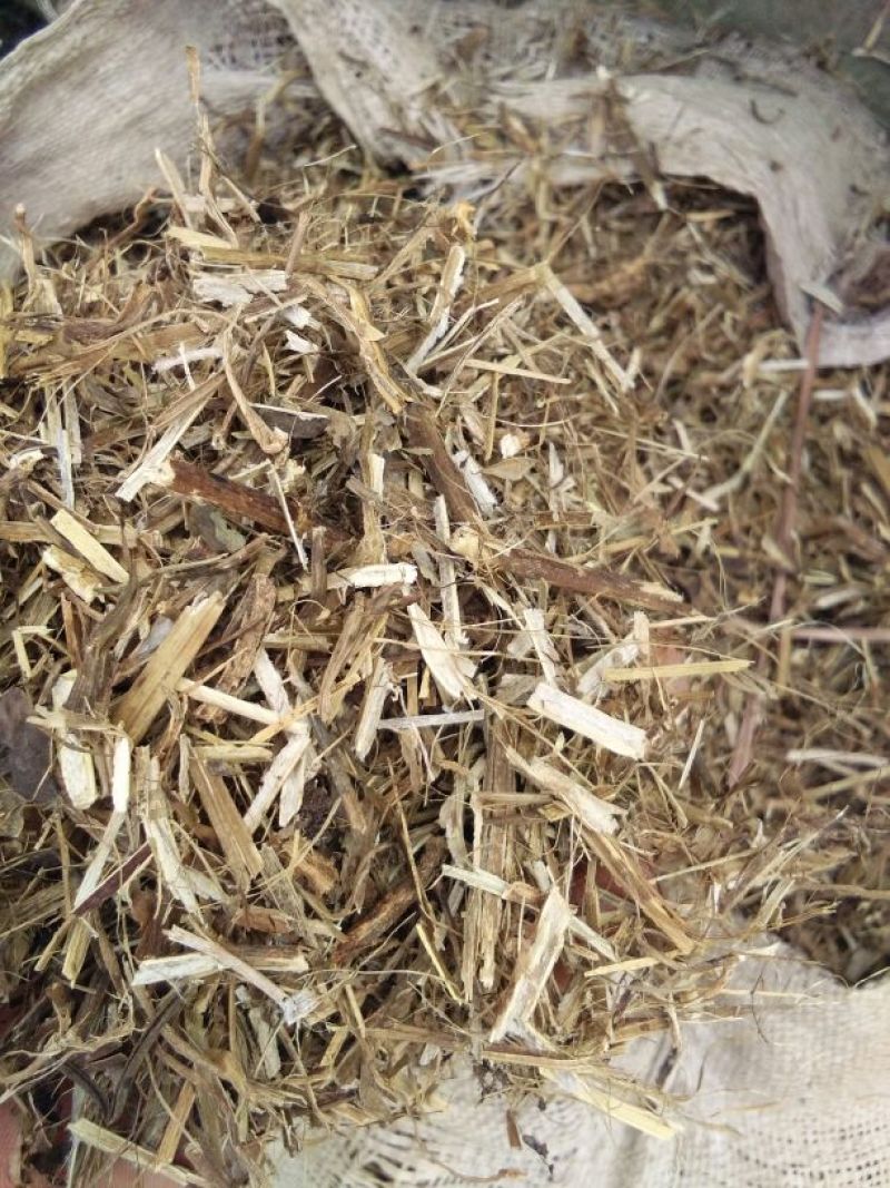 羊草干