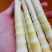 苦笋20~25cm