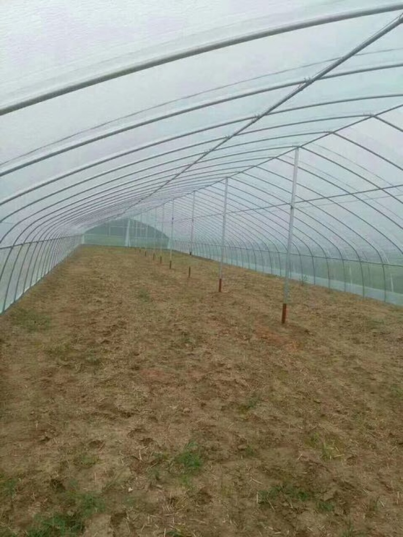 温室大棚镀锌管大棚