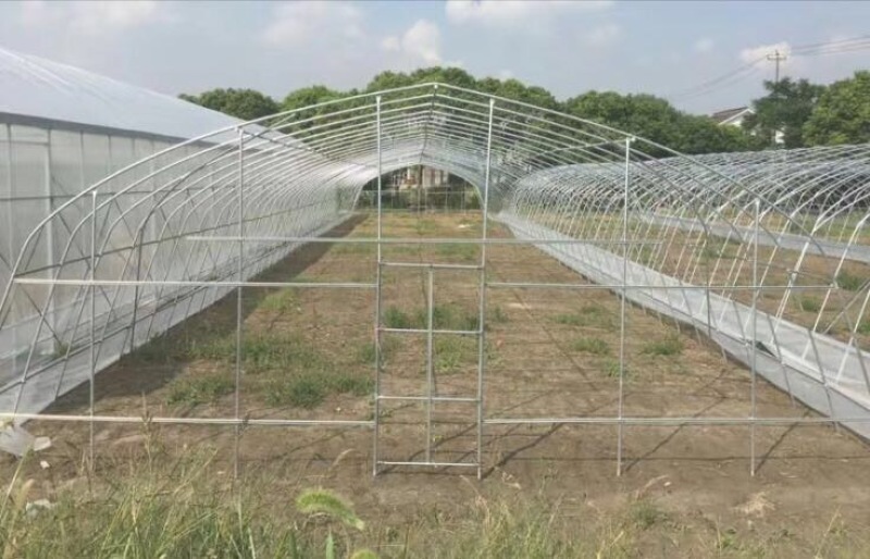 温室大棚镀锌管大棚