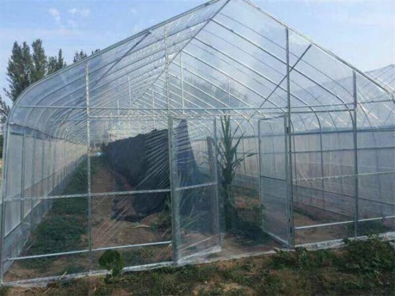 温室大棚镀锌管大棚