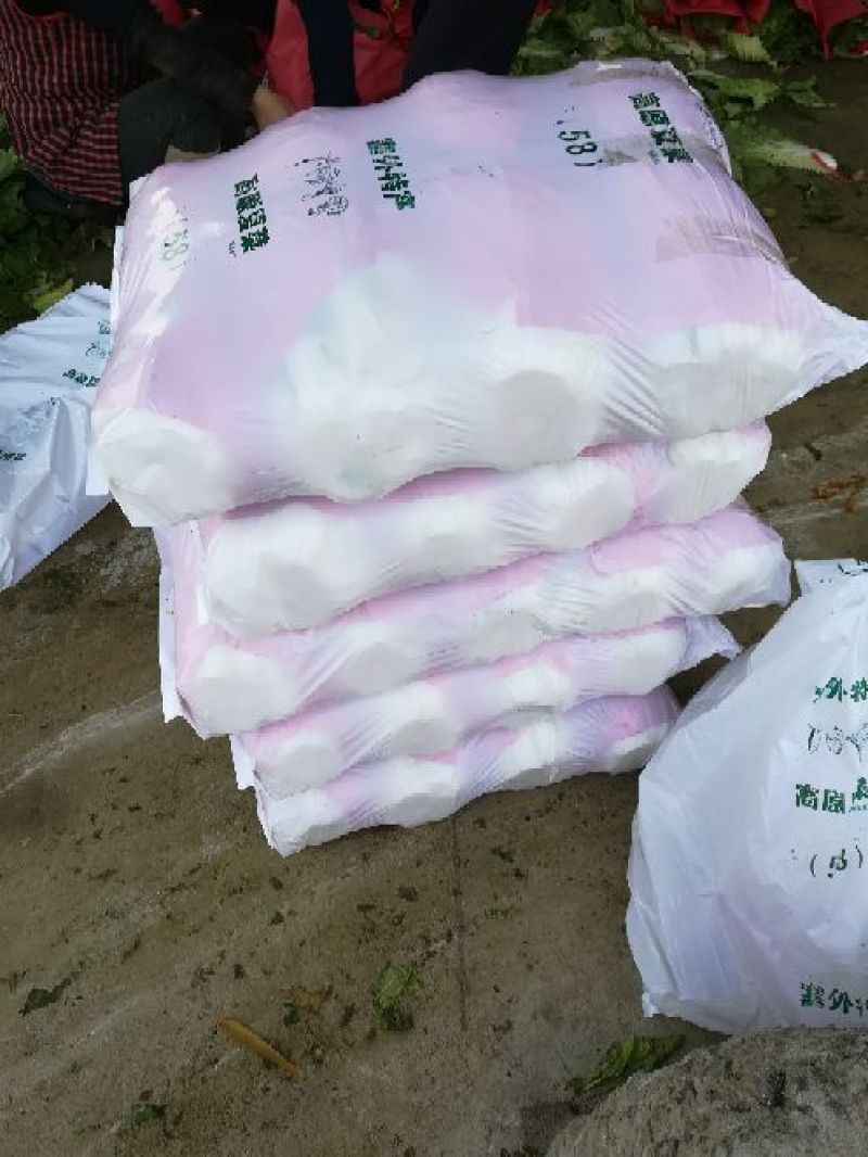 黄心大白菜陆地面积大质量好