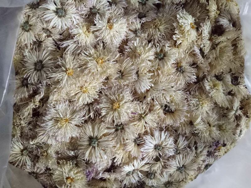 香菊散货