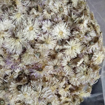 香菊散货