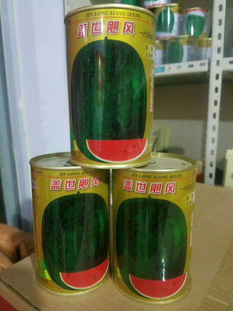 盖世飓风西瓜种子50克/袋