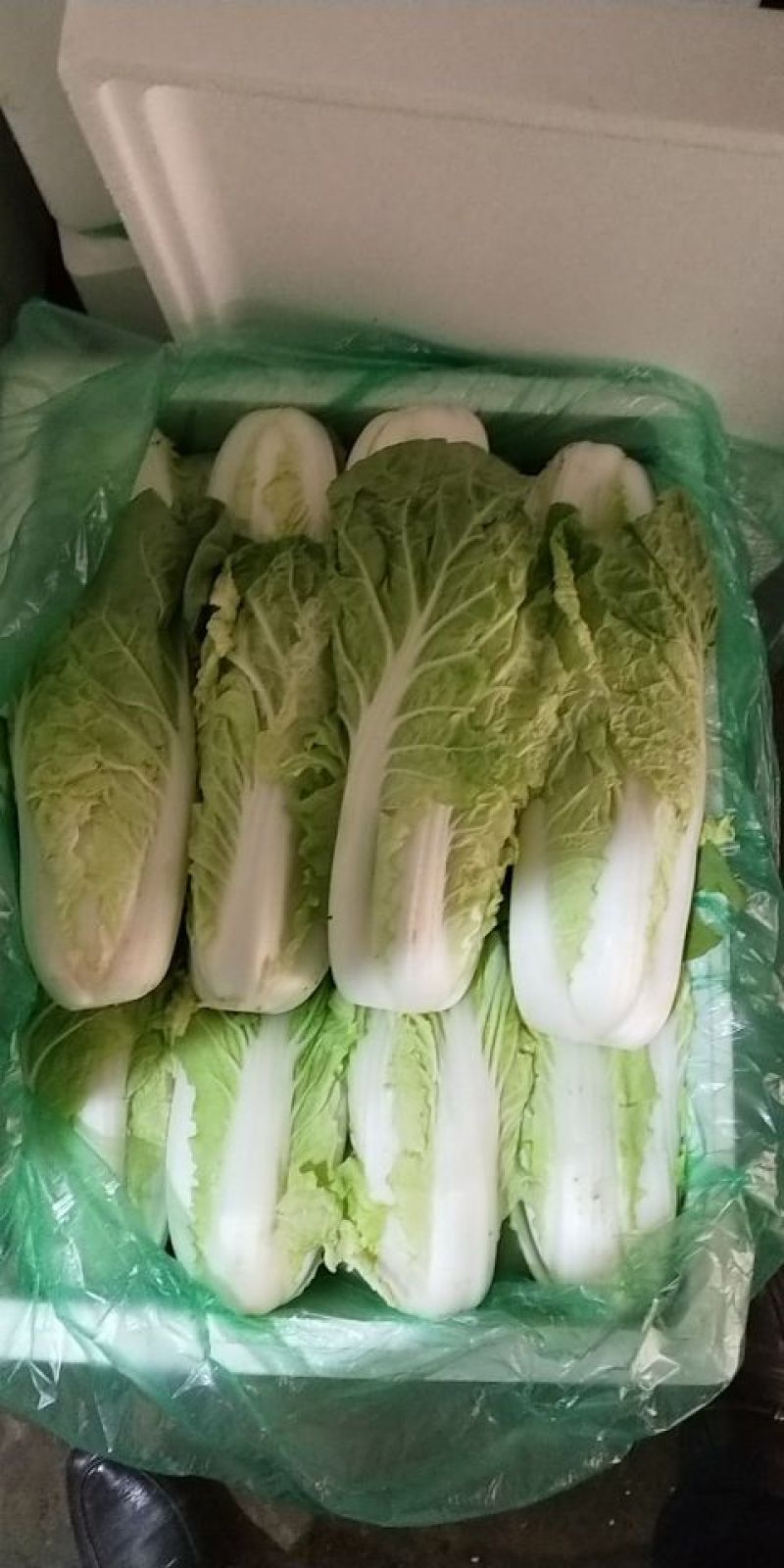 黄心白菜1~2斤