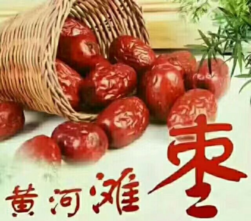 红枣陕北黄河滩油枣