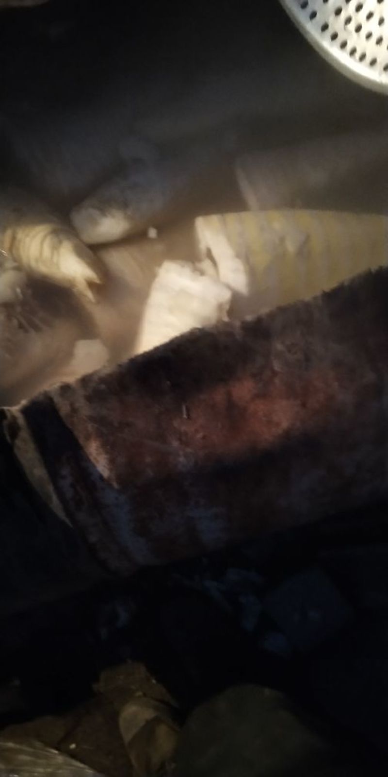 水煮笋干淡笋干