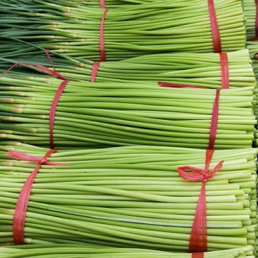 【市场推荐】蒜薹精品大量供应，支持精加工！支持市场批发！
