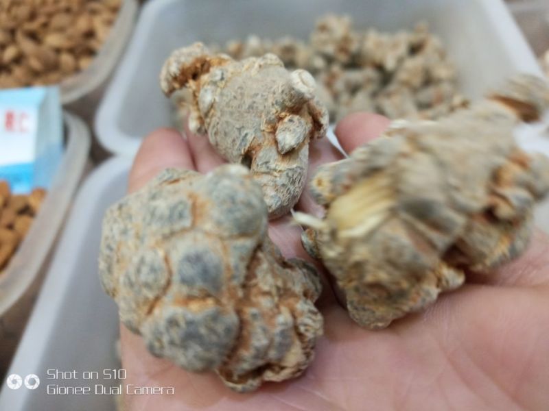 三七干货统货60头