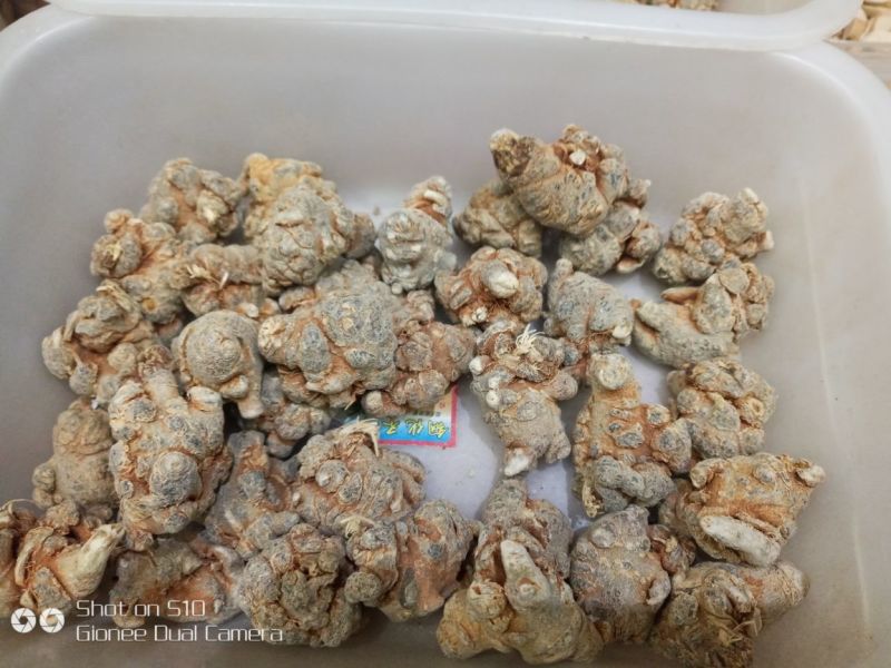 三七干货统货60头