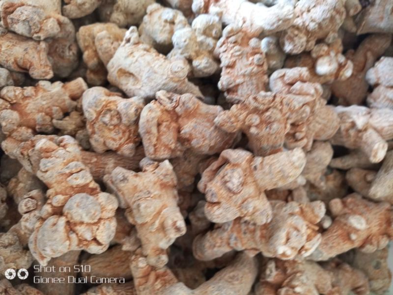 三七干货统货60头
