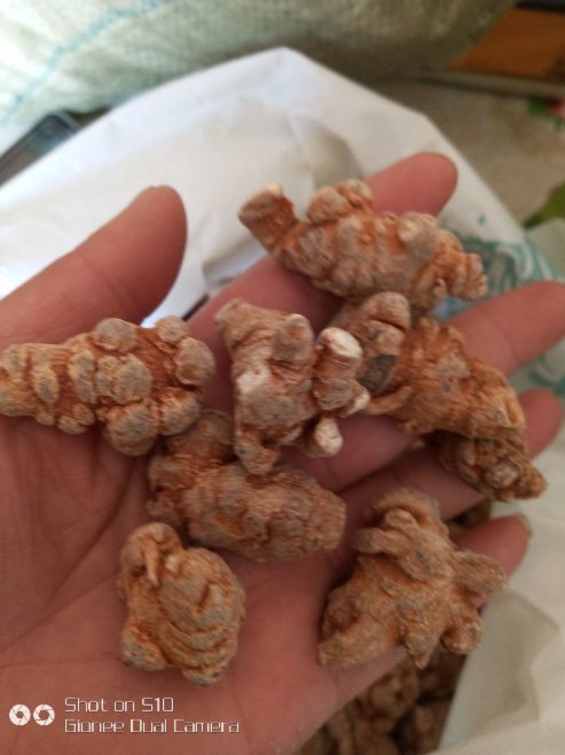 三七干货统货60头