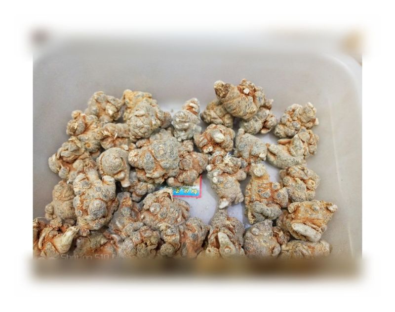 三七干货统货60头