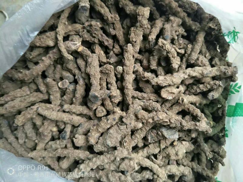 藤三七野生藤三七鲜货10斤起发货量大优惠
