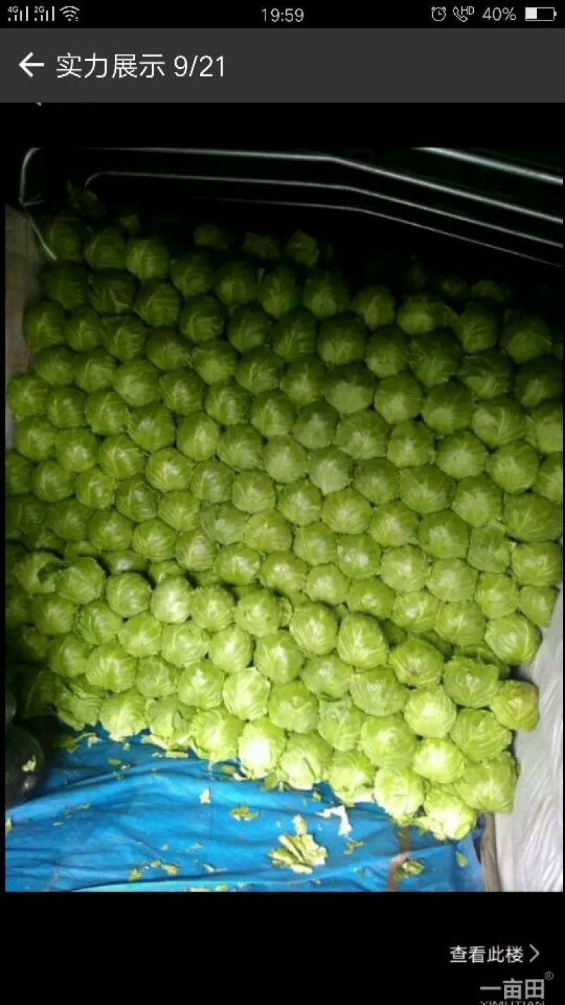 鲜辣椒质量好，量大