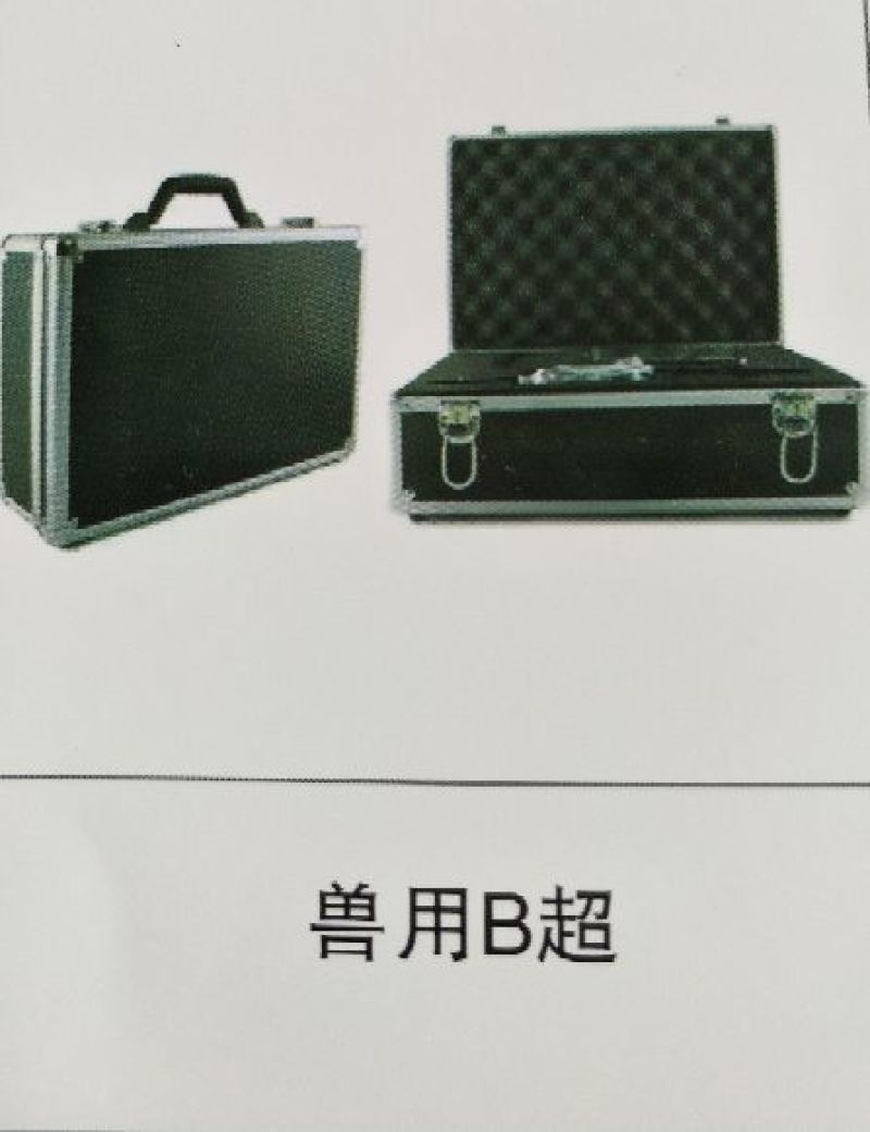现代化环保型养猪设备