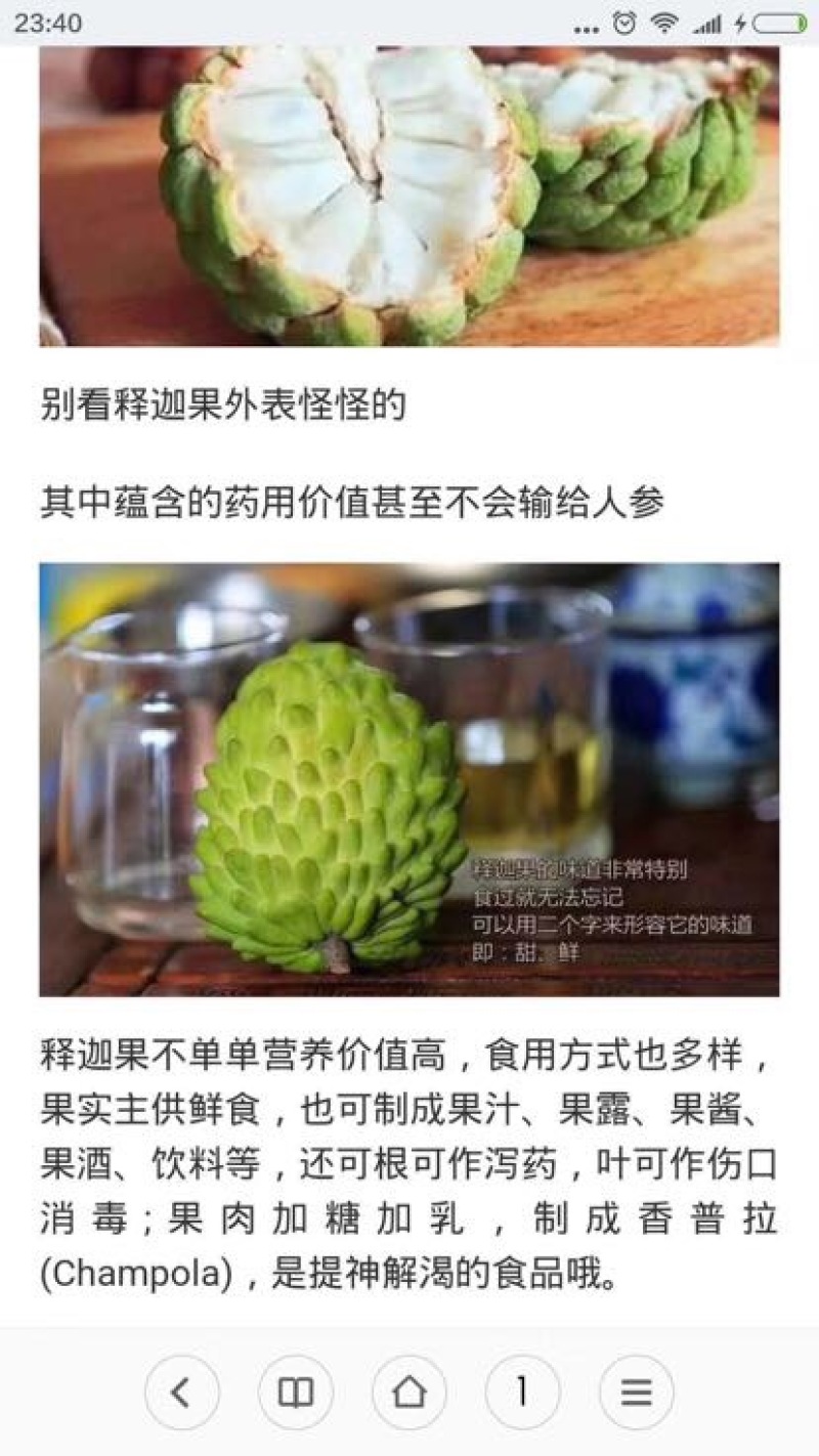 释迦