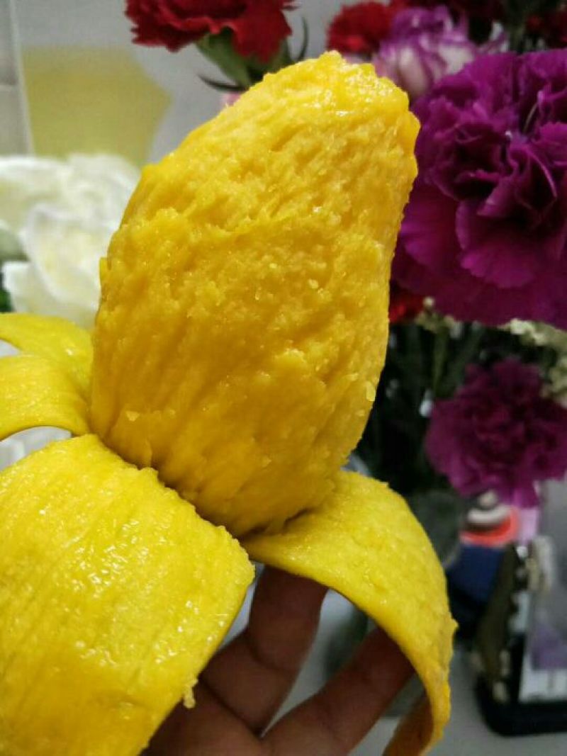 贵妃芒海南贵妃芒中果，3-5两