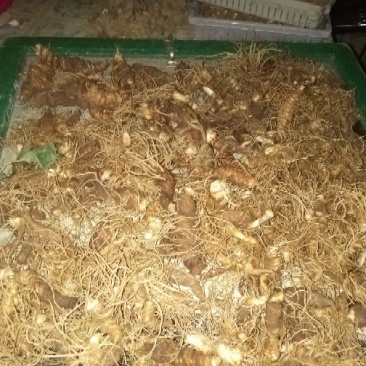 重楼鲜货统个