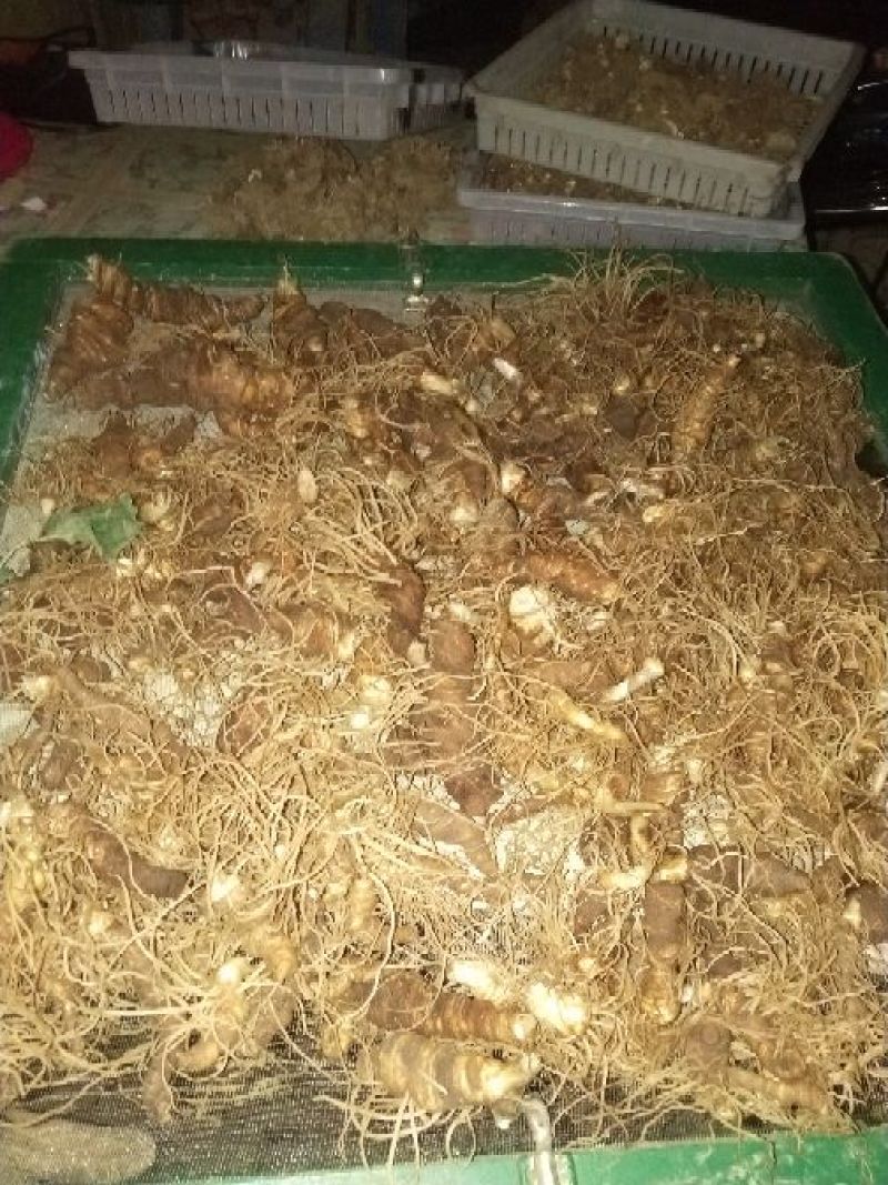 重楼鲜货统个