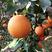 【推荐】纽荷尔脐橙鲜果采摘产地直供洗果分级包装上车
