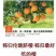 琯溪蜜柚2斤以上产地直销看货采摘保质保量