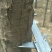 榆树4~6cm4~6cm2.5~3m
