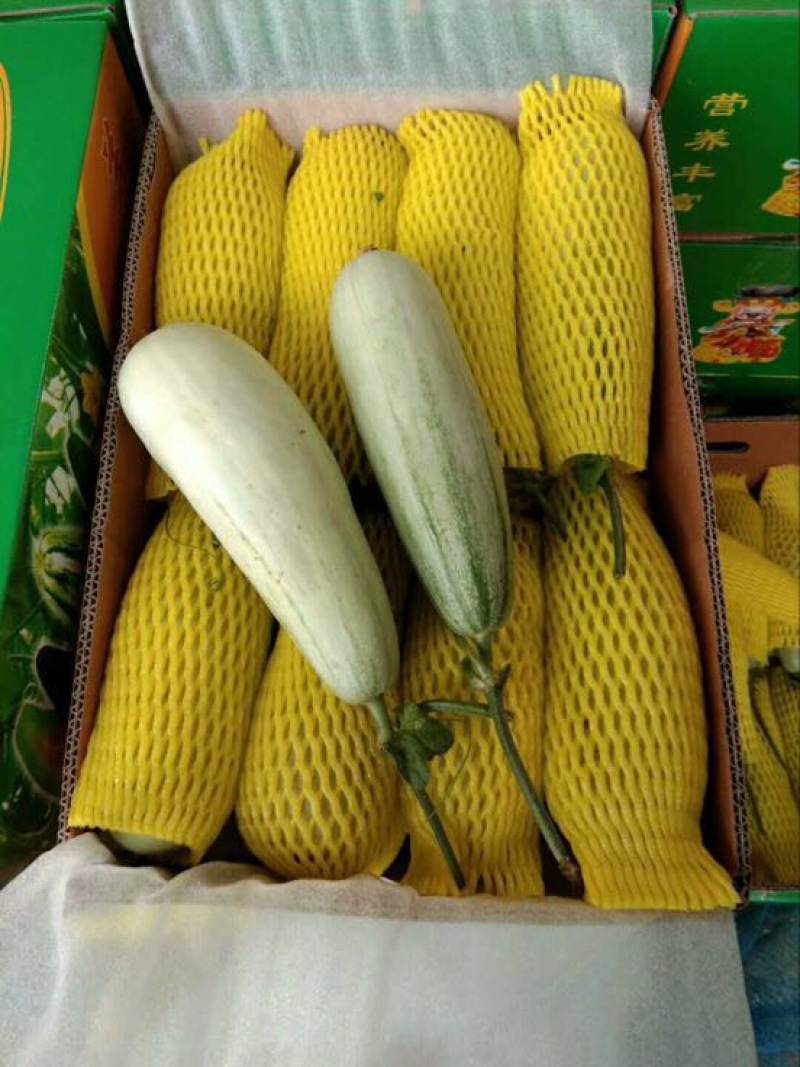 羊角蜜甜瓜精品1斤以上