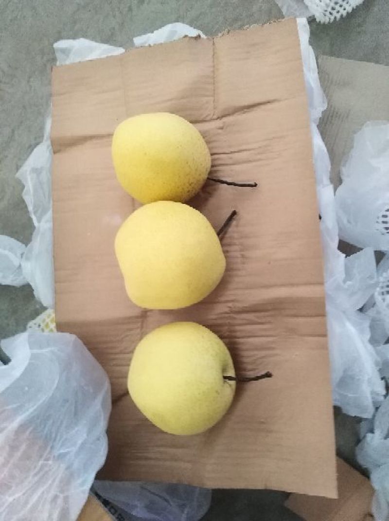 雪梨框装雪花梨七两以上产地直供一手货源量大从优