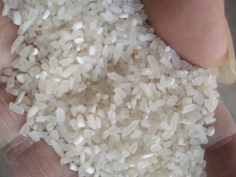 抛光碎米食品级新粮籼碎米厂家直发一手货源全国发货