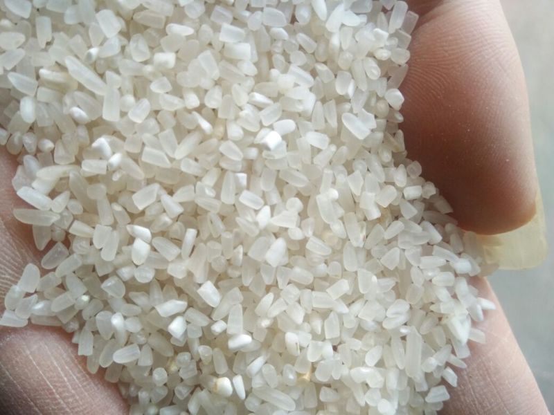 抛光碎米食品级新粮籼碎米厂家直发一手货源全国发货