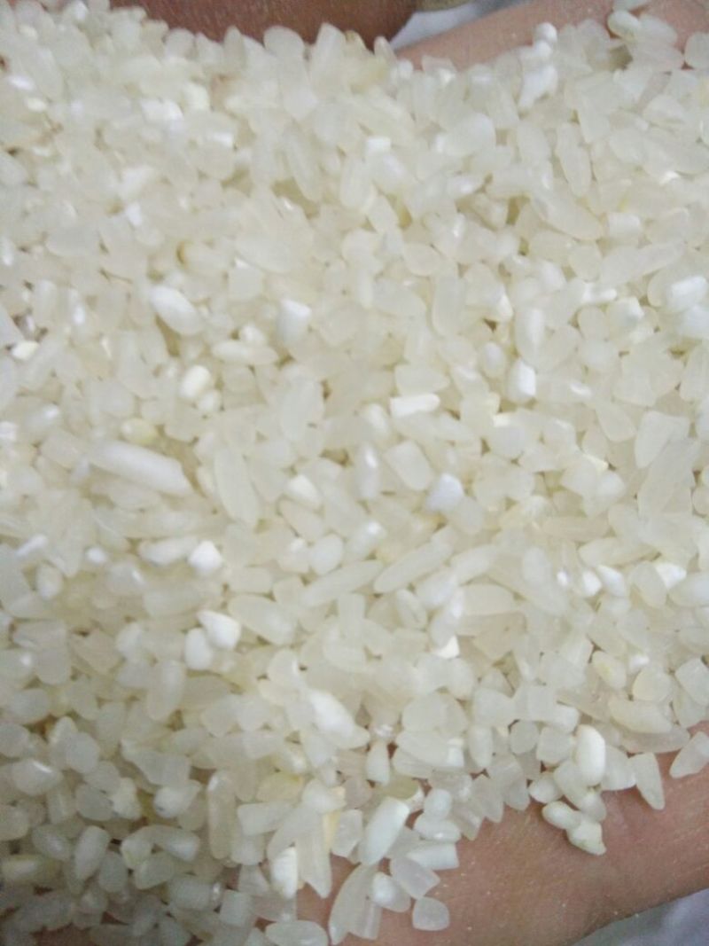 抛光碎米食品级新粮籼碎米厂家直发一手货源全国发货