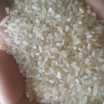 抛光碎米食品级新粮籼碎米厂家直发一手货源全国发货