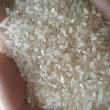 抛光碎米食品级新粮籼碎米厂家直发一手货源全国发货