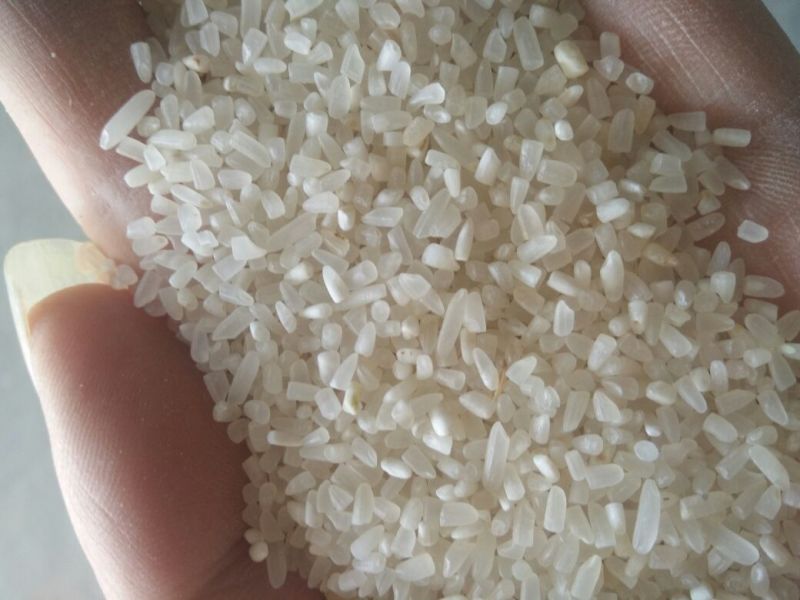 抛光碎米食品级新粮籼碎米厂家直发一手货源全国发货