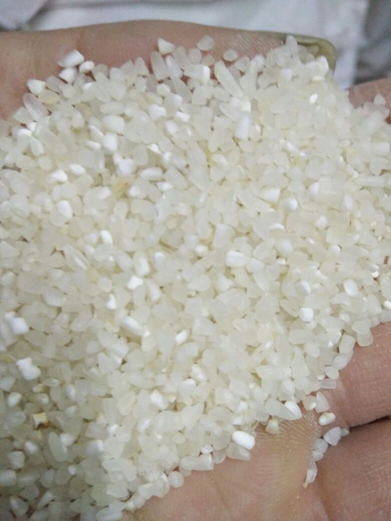 抛光碎米食品级新粮籼碎米厂家直发一手货源全国发货